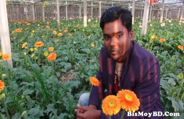 চাকুরী না পেয়ে ফুল চাষ করে ভাগ্য ফেরালেন ছাত্রলীগ নেতা লিয়াকত
