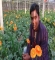 চাকুরী না পেয়ে ফুল চাষ করে ভাগ্য ফেরালেন ছাত্রলীগ নেতা লিয়াকত
